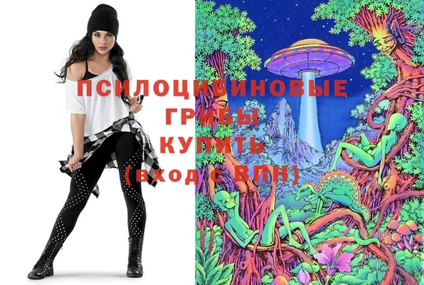 герыч Бронницы