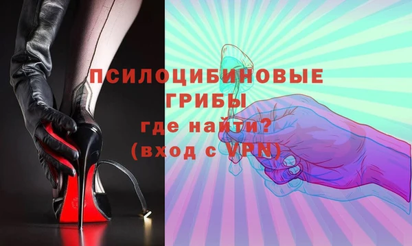 герыч Бронницы
